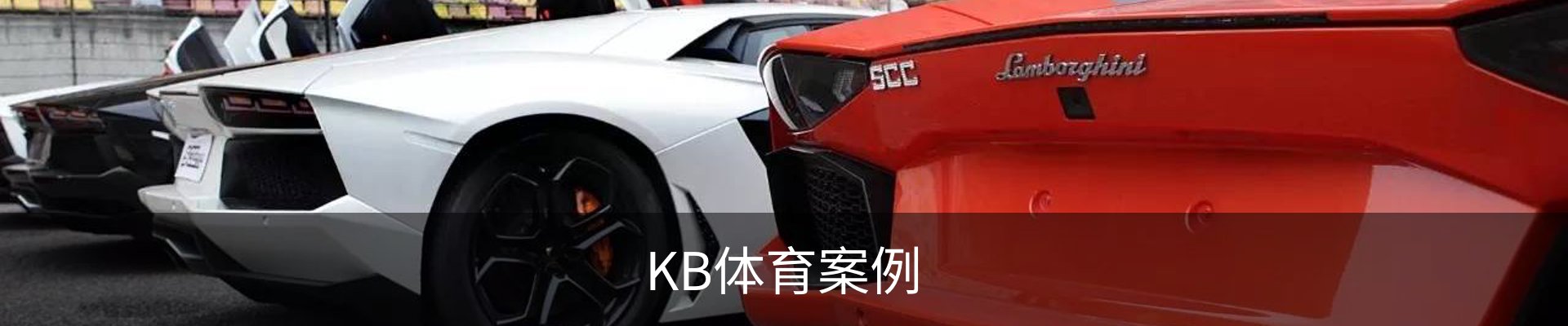 KB体育案例